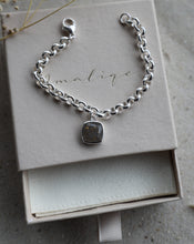 Lade das Bild in den Galerie-Viewer, Tierascheschmuck Silber